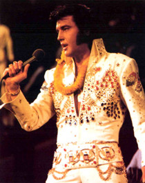 elvis_in_concerto_biografia_la_carriera