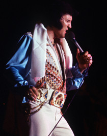 elvis_in_concerto_biografia_la_carriera